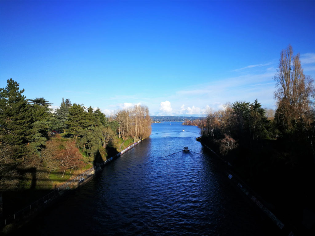 montlake