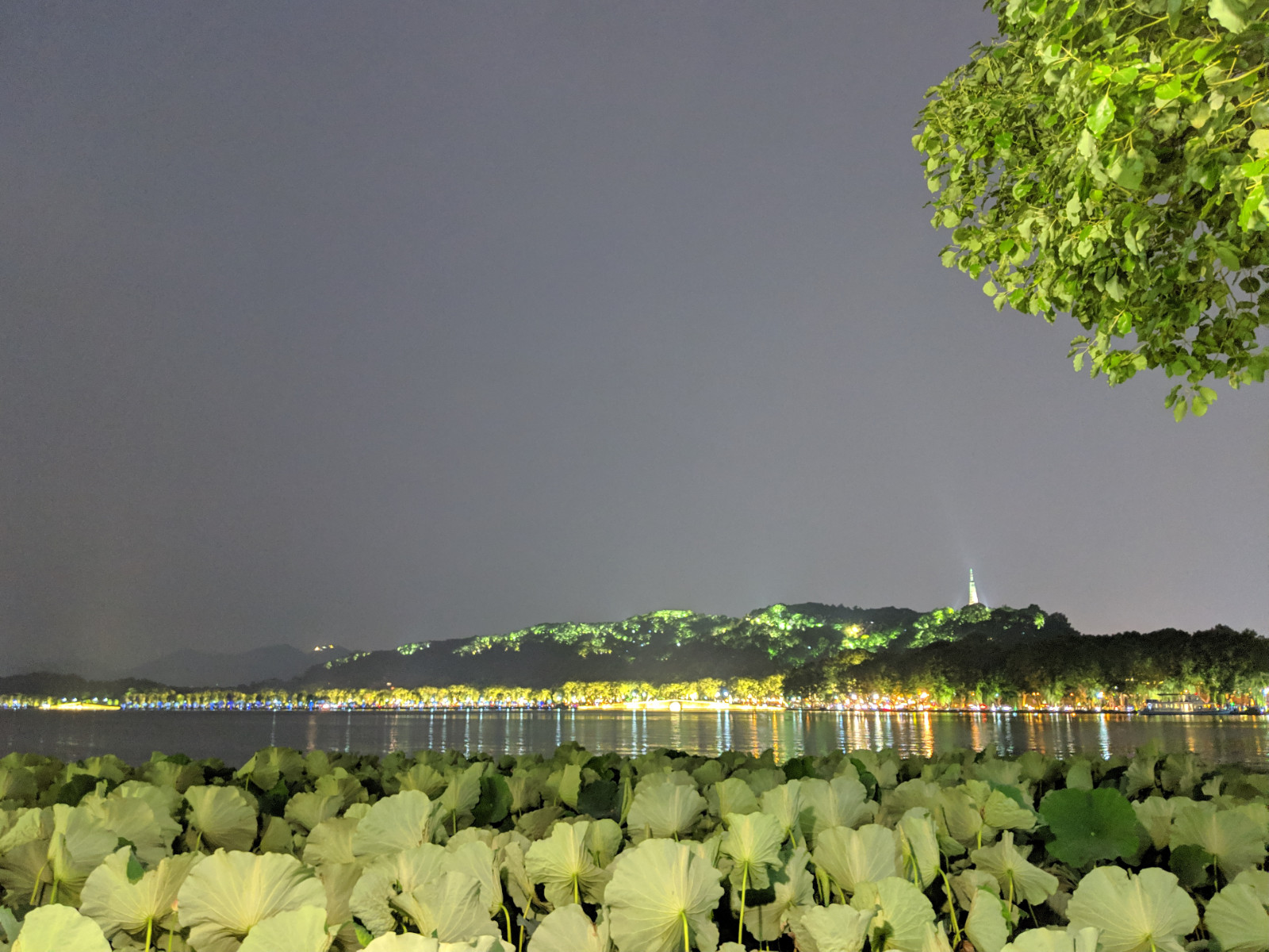 夜西湖